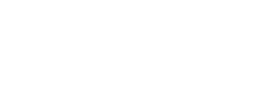 Pro Auto Consultant